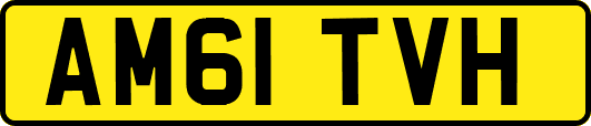 AM61TVH