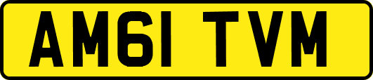 AM61TVM