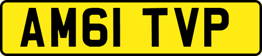 AM61TVP