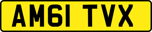 AM61TVX