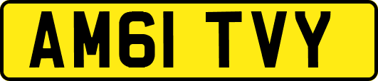 AM61TVY