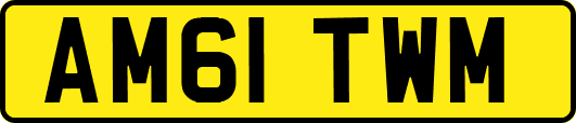 AM61TWM