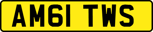 AM61TWS