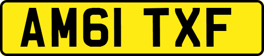 AM61TXF