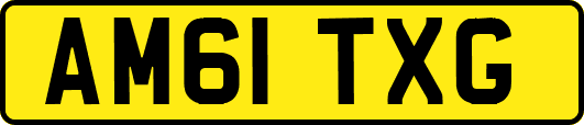 AM61TXG
