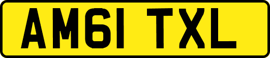 AM61TXL