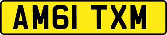 AM61TXM