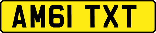 AM61TXT