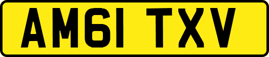 AM61TXV