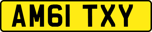 AM61TXY