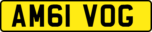 AM61VOG
