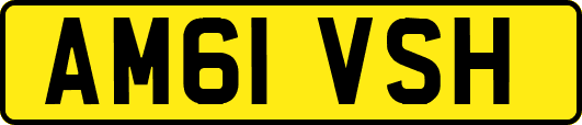 AM61VSH
