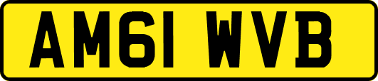 AM61WVB