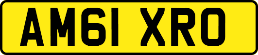 AM61XRO