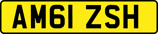 AM61ZSH