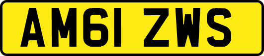 AM61ZWS