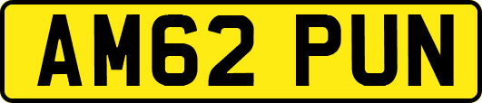 AM62PUN
