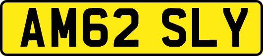 AM62SLY