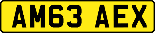 AM63AEX