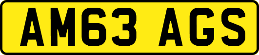 AM63AGS