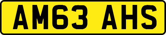 AM63AHS