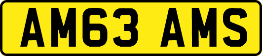 AM63AMS
