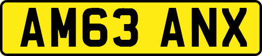 AM63ANX