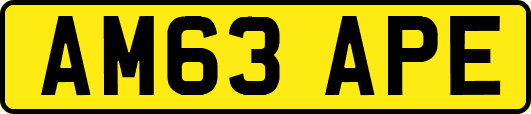 AM63APE