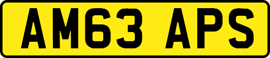 AM63APS