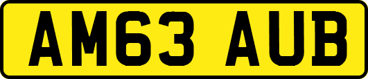 AM63AUB