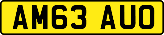 AM63AUO