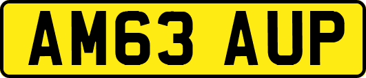 AM63AUP
