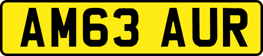 AM63AUR