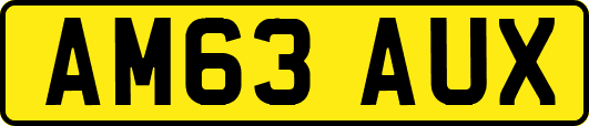 AM63AUX