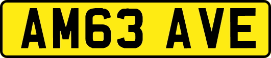 AM63AVE