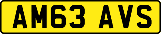 AM63AVS