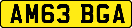 AM63BGA