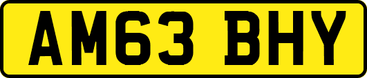 AM63BHY