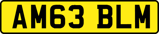 AM63BLM