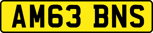 AM63BNS