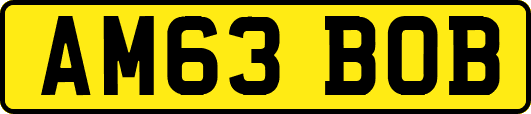 AM63BOB
