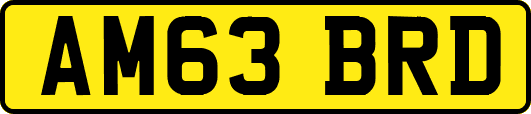 AM63BRD