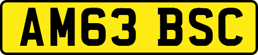 AM63BSC