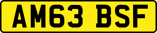 AM63BSF
