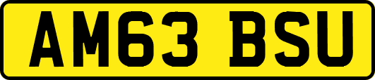 AM63BSU