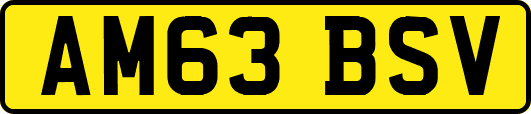 AM63BSV