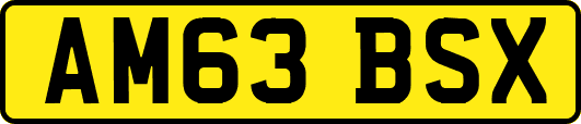 AM63BSX