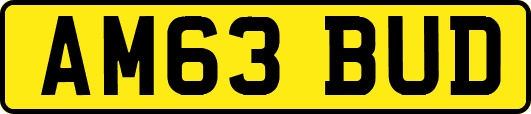 AM63BUD