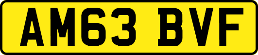 AM63BVF