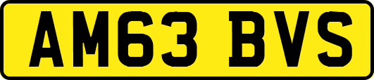 AM63BVS